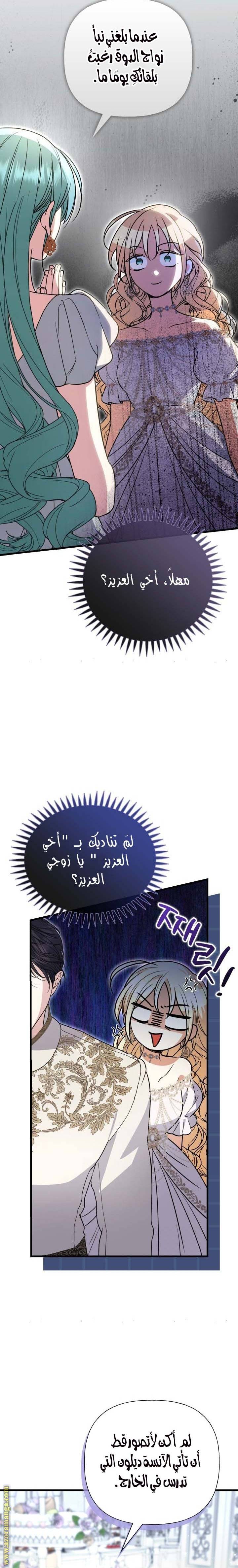 الصفحة 13