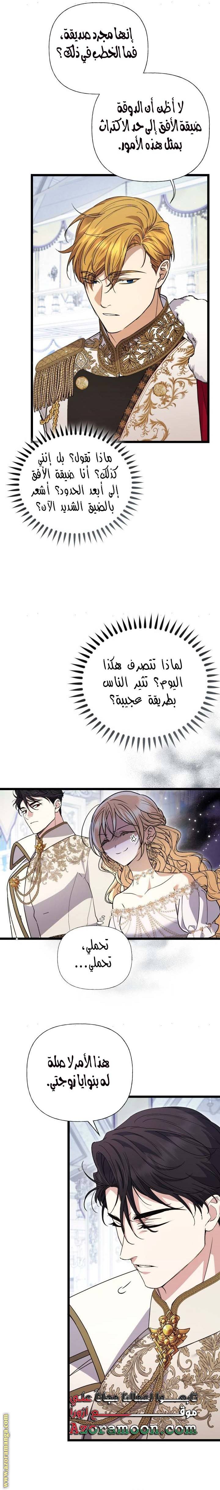 الصفحة 17