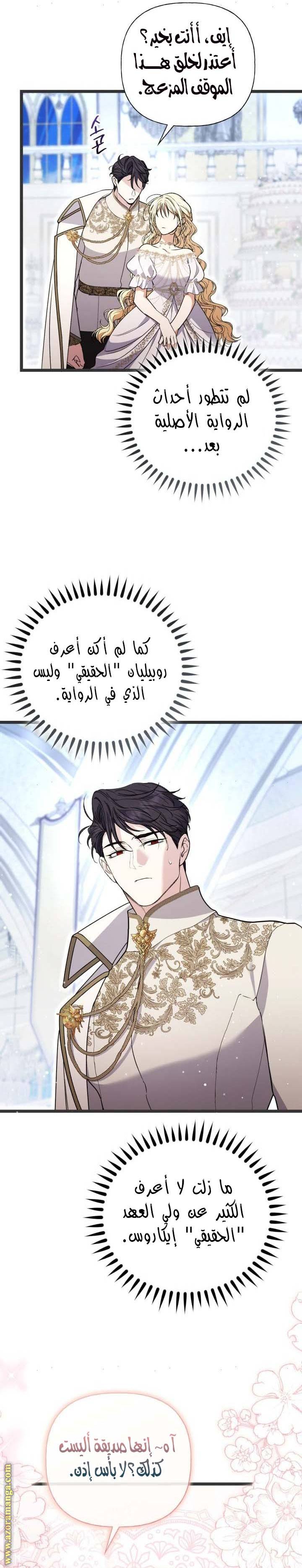 الصفحة 26