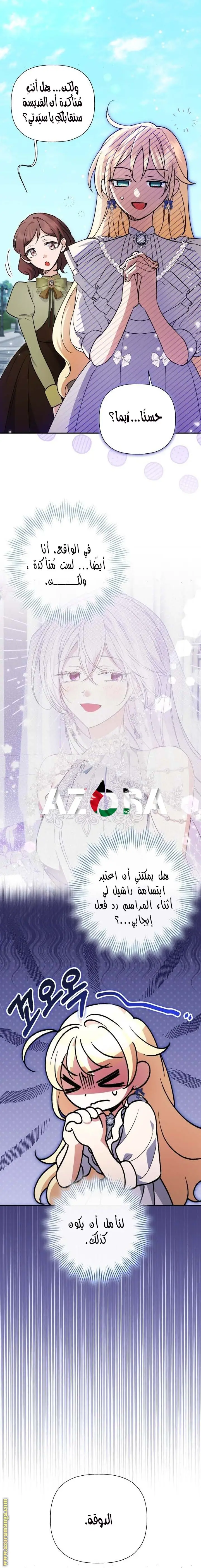 الصفحة 11