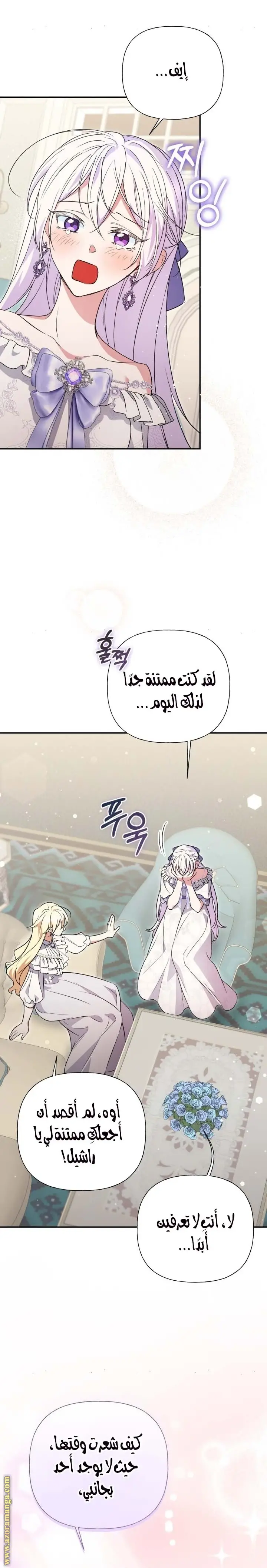 الصفحة 26