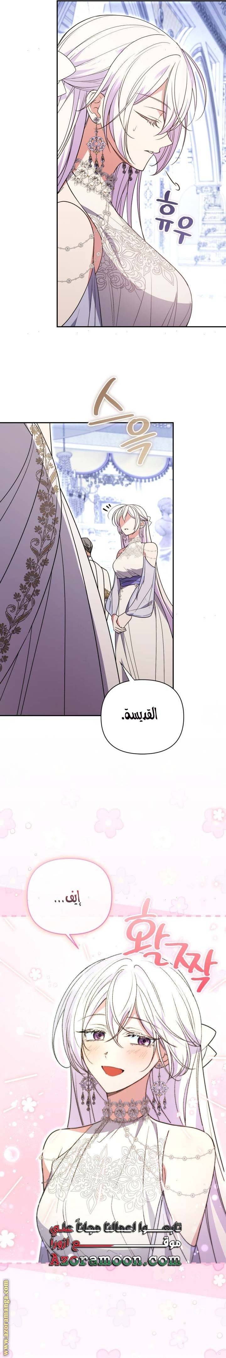 الصفحة 12