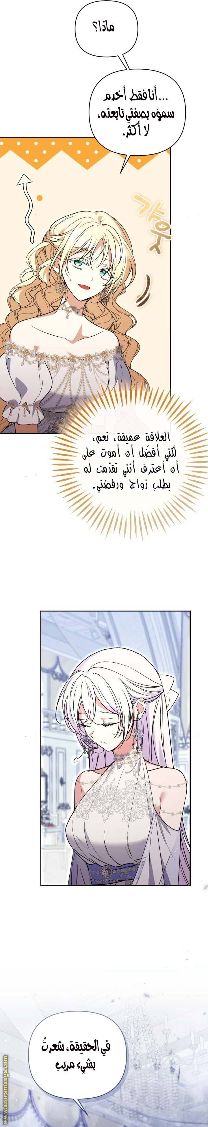 الصفحة 19