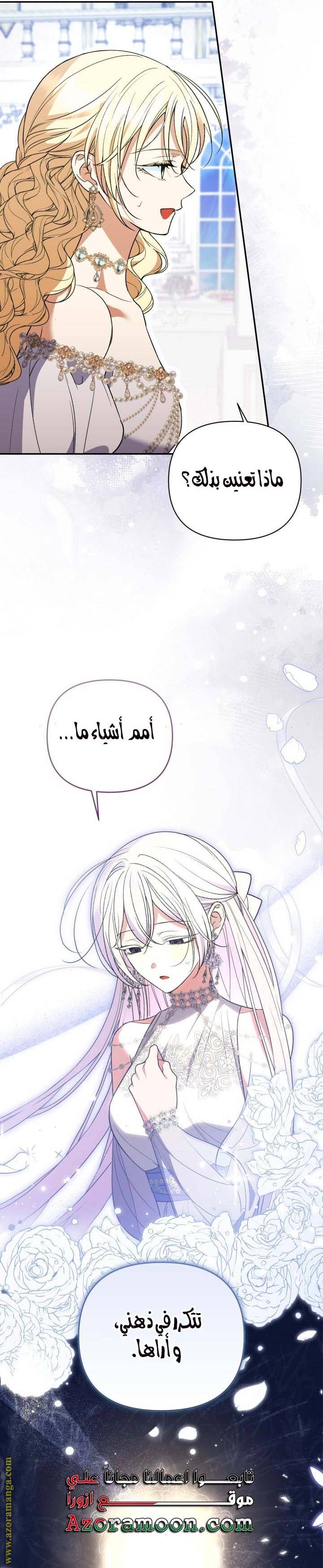 الصفحة 21