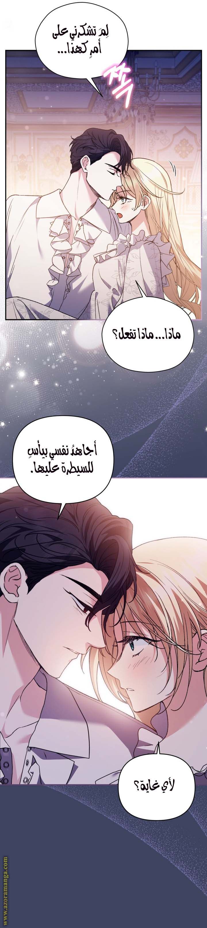 الصفحة 26