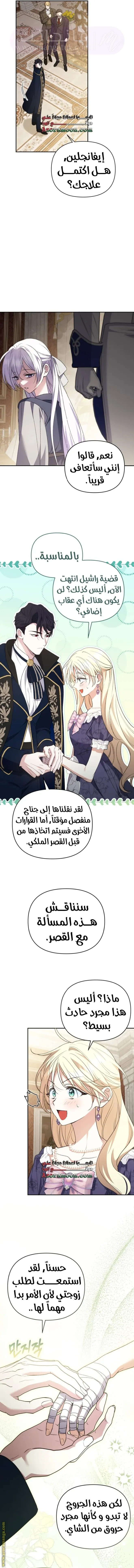 الصفحة 13