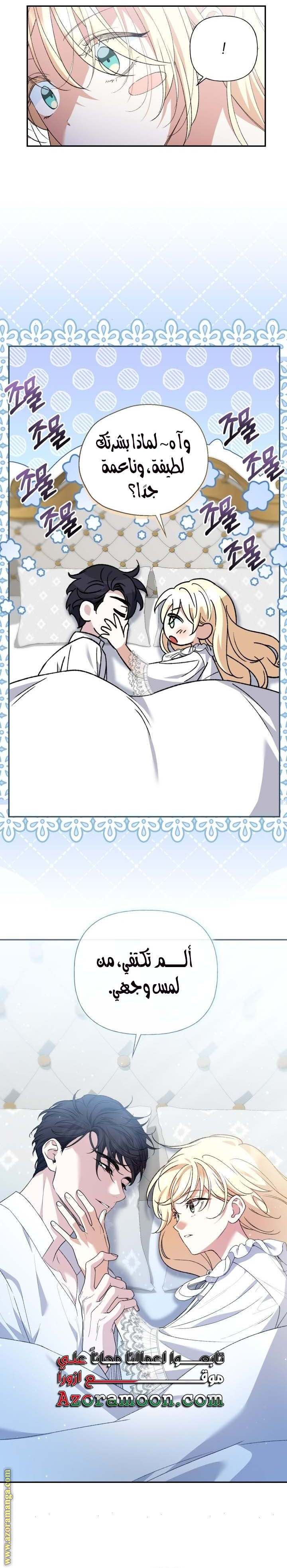 الصفحة 17