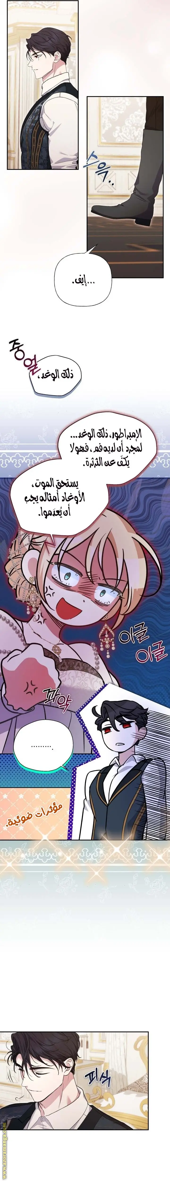الصفحة 13