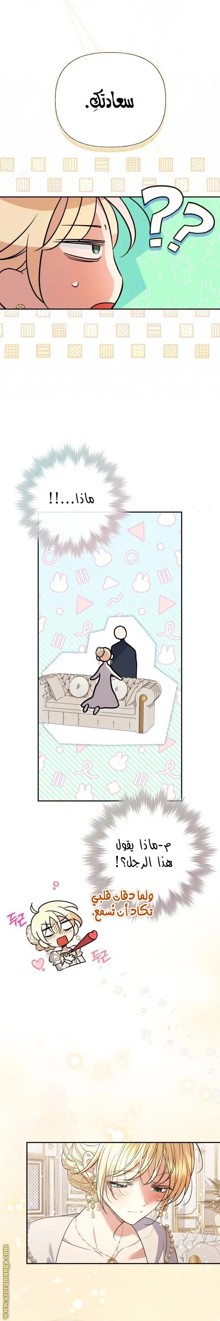 الصفحة 17