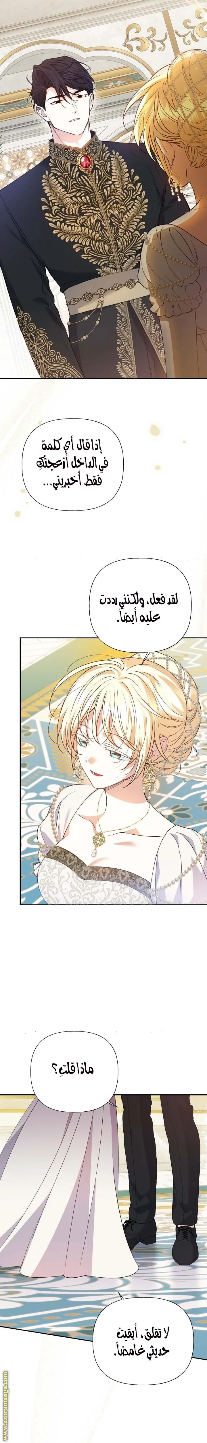 الصفحة 17
