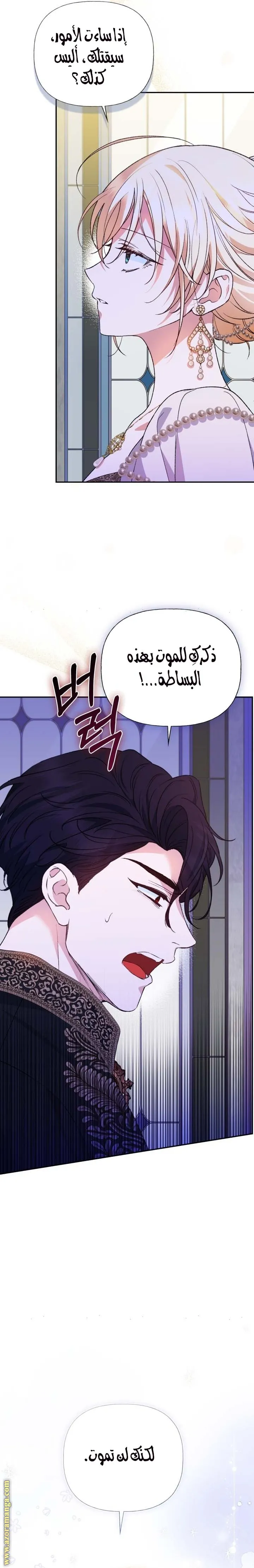 الصفحة 19