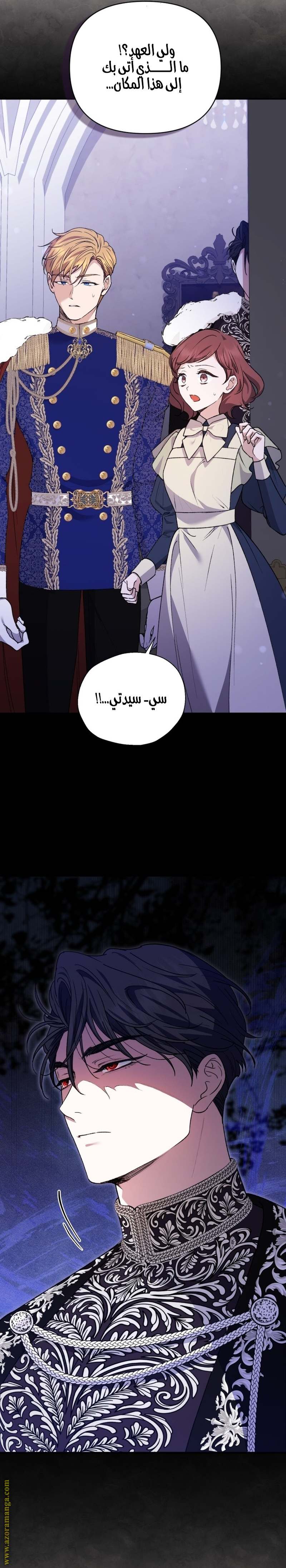 الصفحة 12