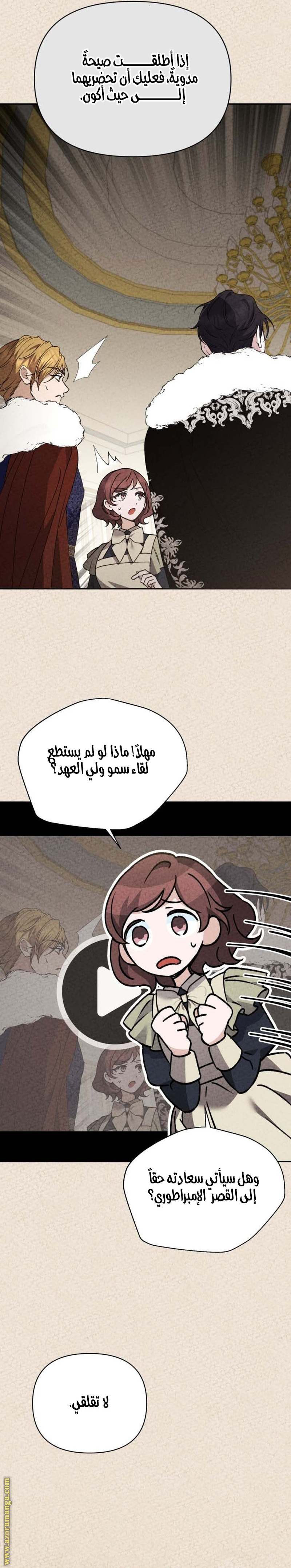 الصفحة 17