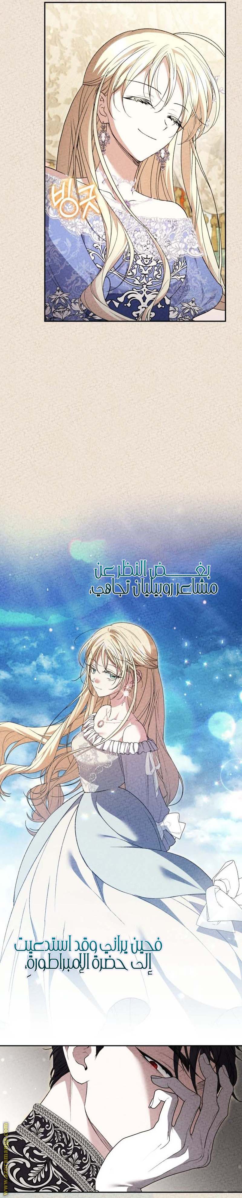 الصفحة 19