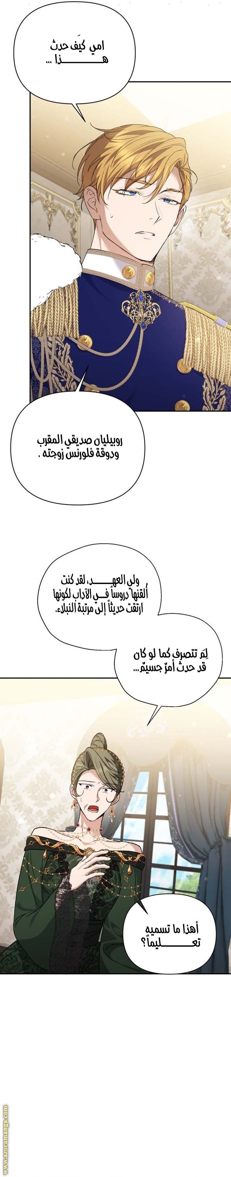 الصفحة 26
