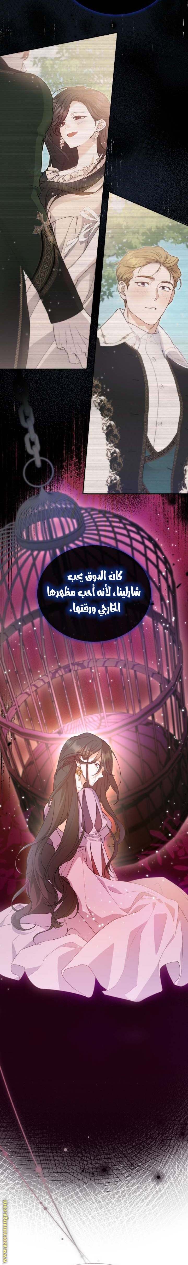الصفحة 21
