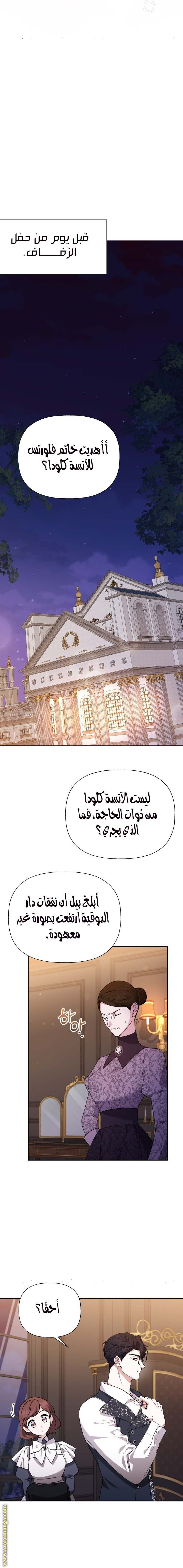 الصفحة 13