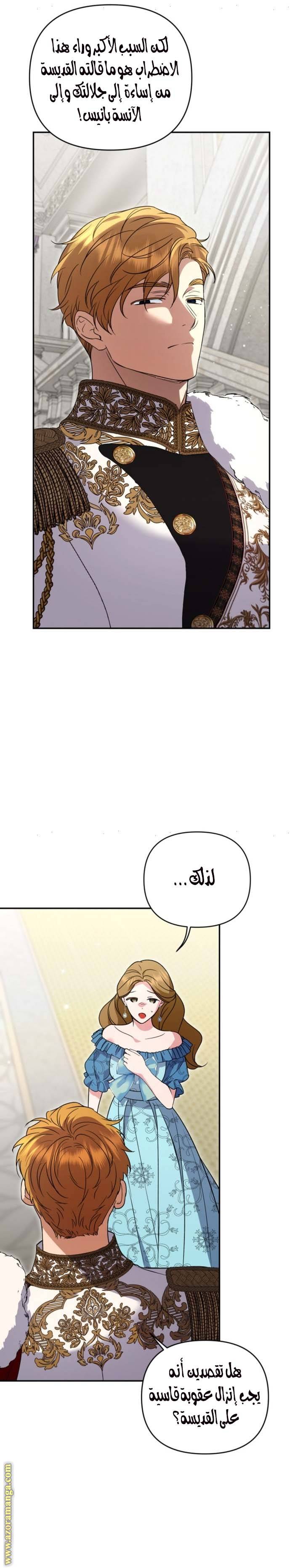 الصفحة 17