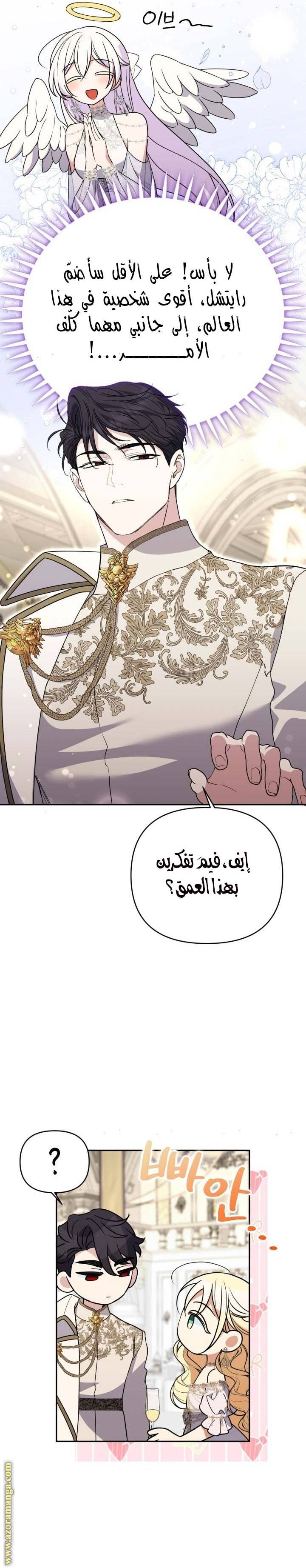 الصفحة 13
