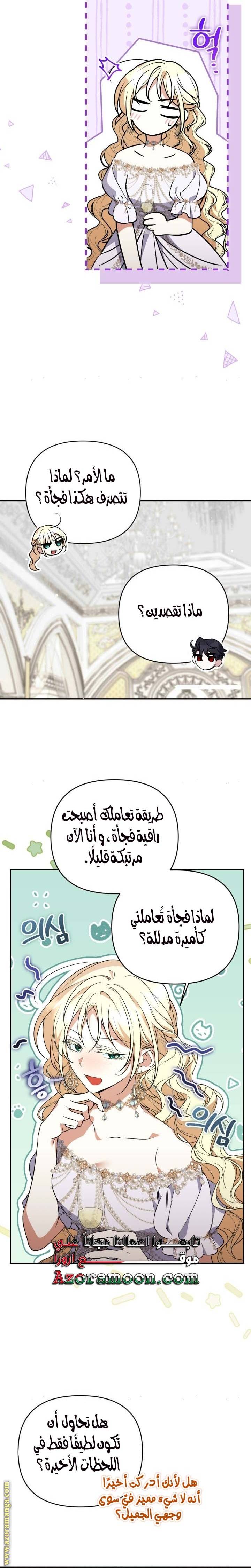 الصفحة 17