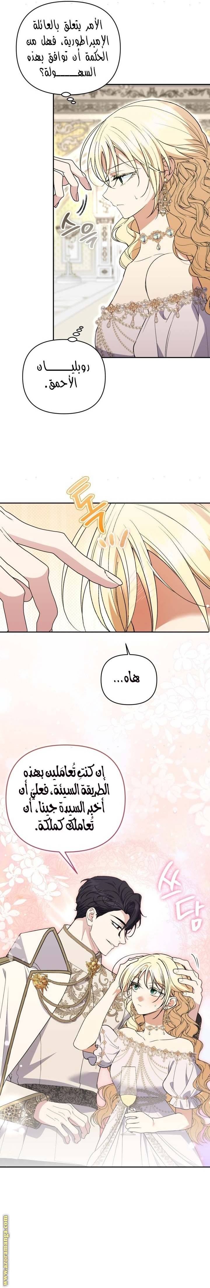 الصفحة 20