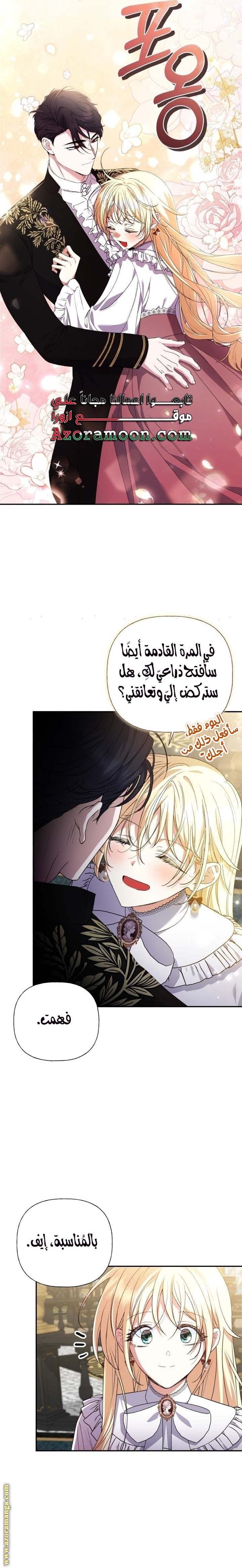 الصفحة 17