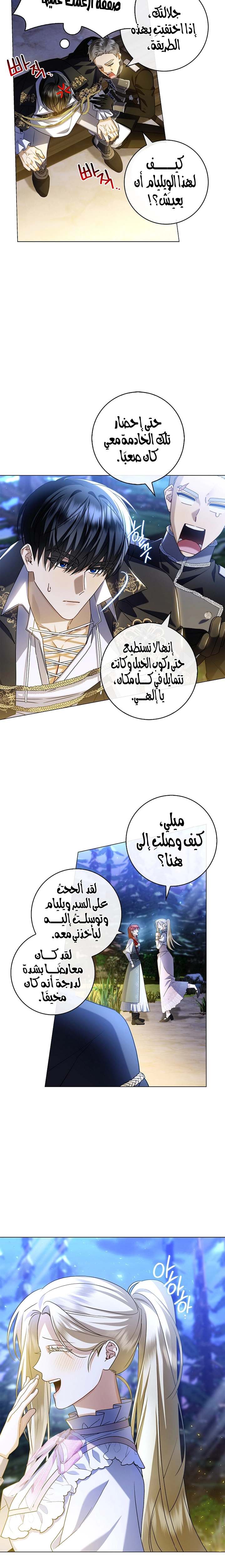 الصفحة 12