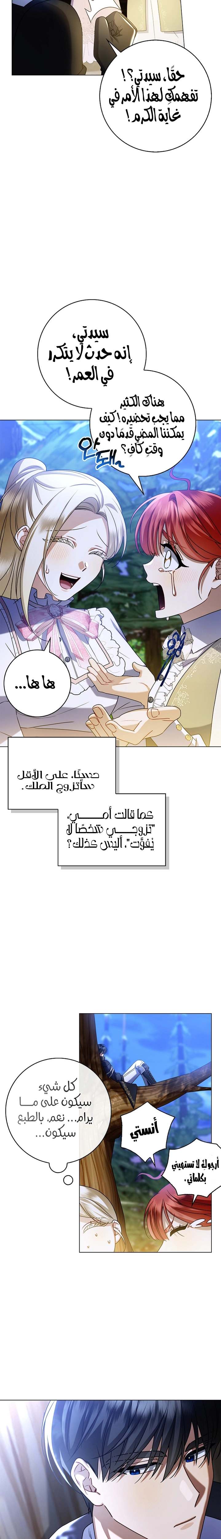 الصفحة 24