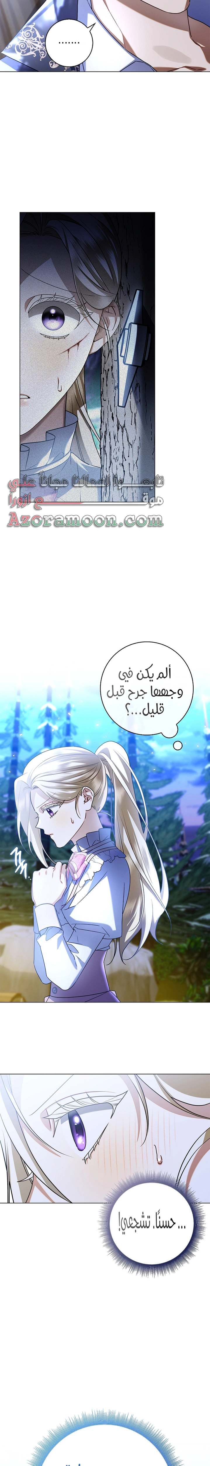 الصفحة 25
