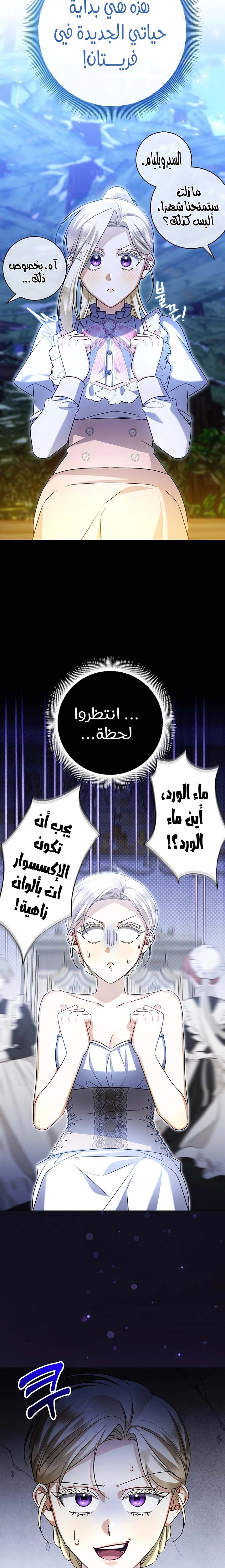 الصفحة 26