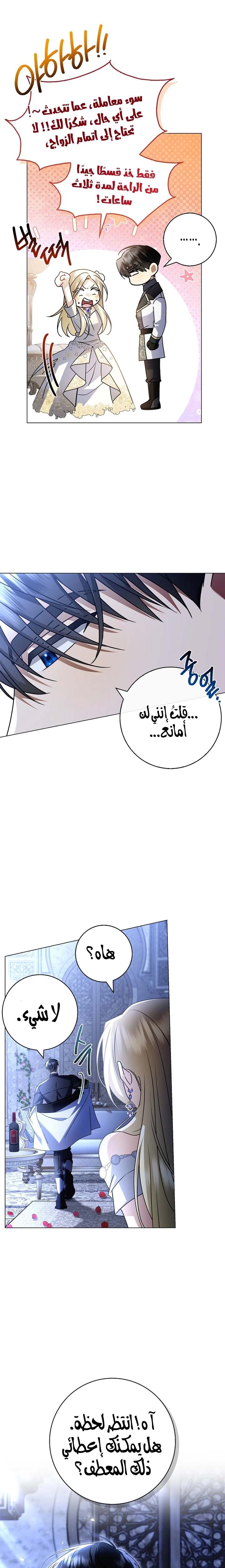 الصفحة 11