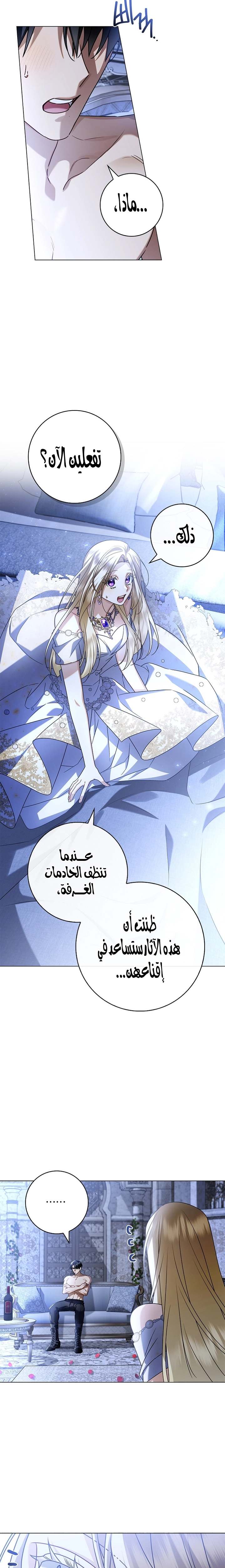 الصفحة 13