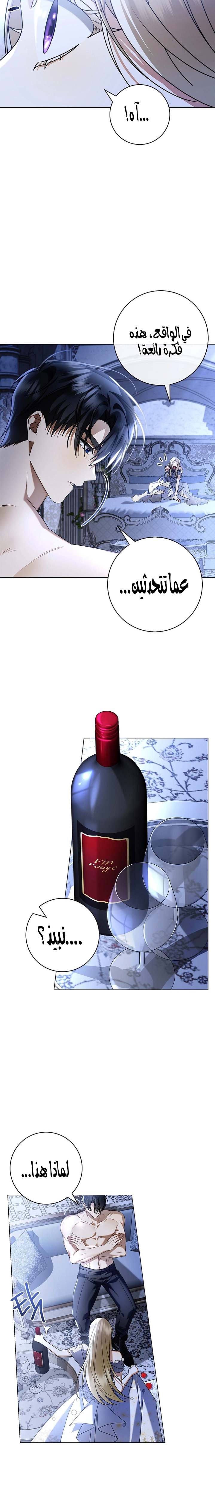 الصفحة 14