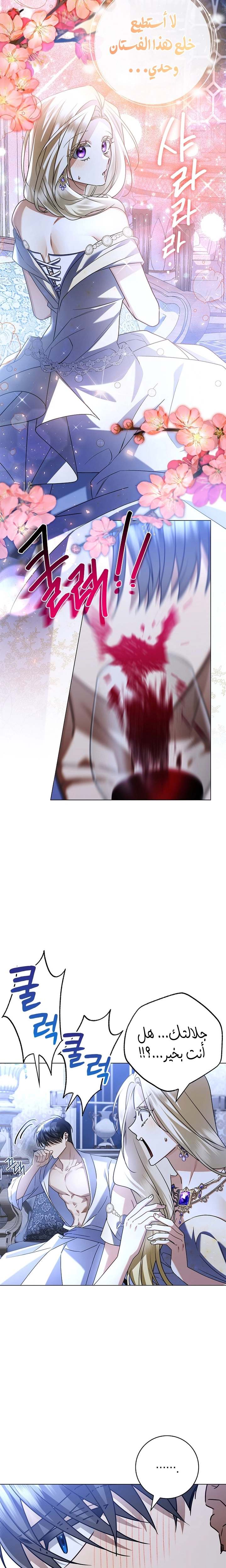 الصفحة 20