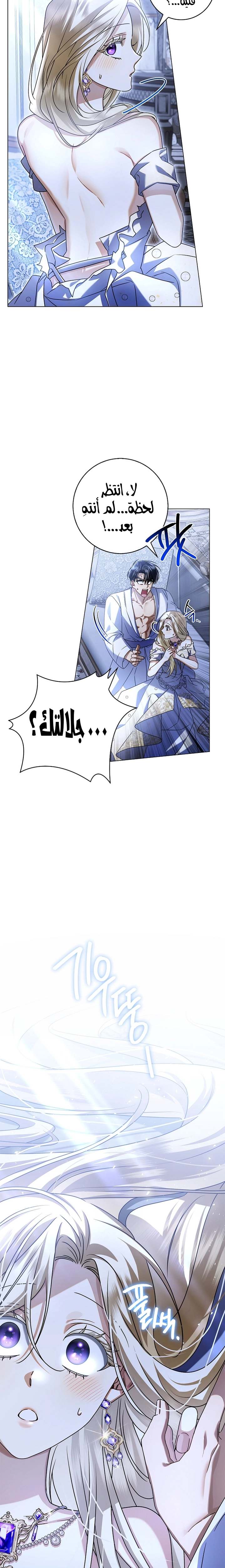 الصفحة 23