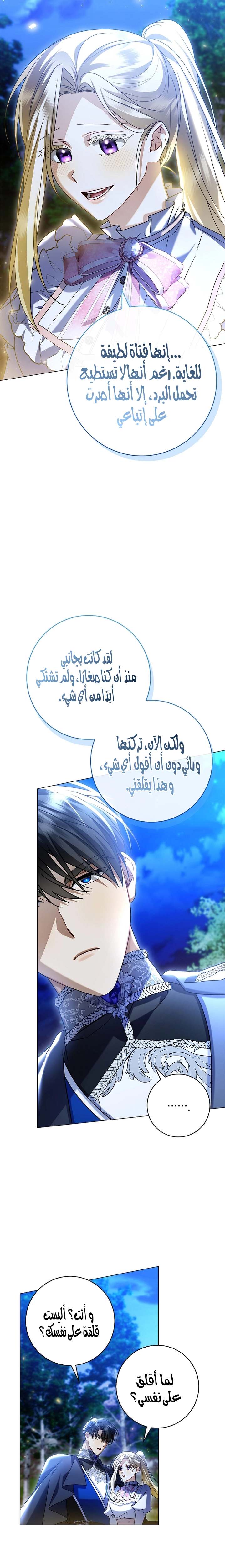 الصفحة 17