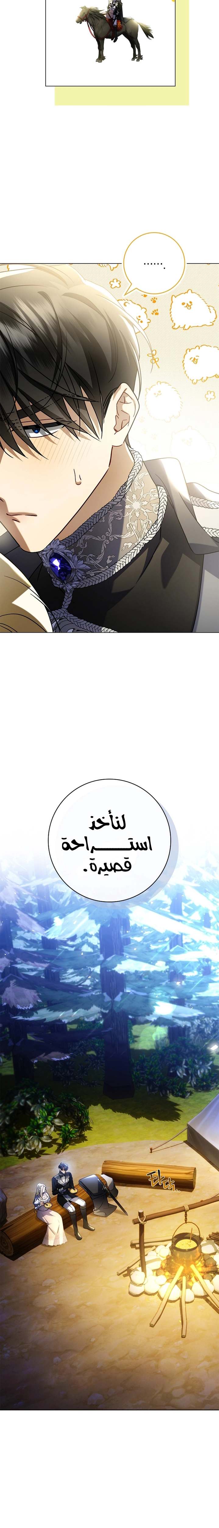 الصفحة 20