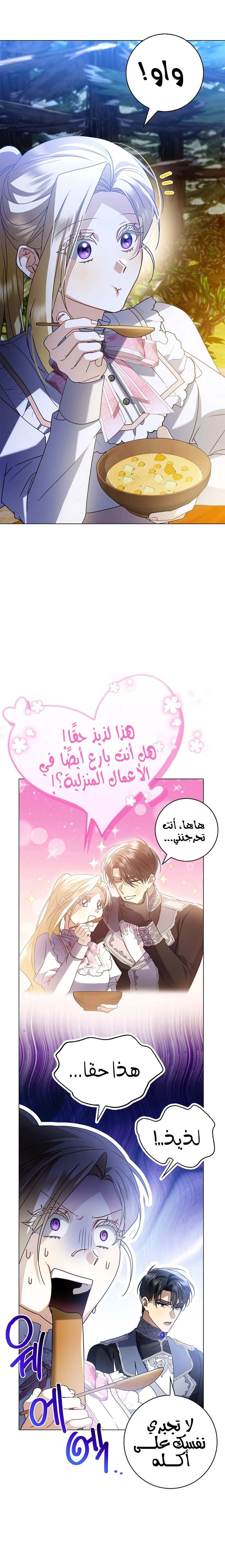 الصفحة 21
