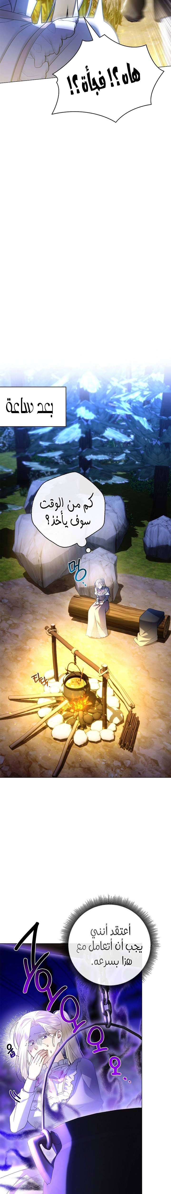 الصفحة 26