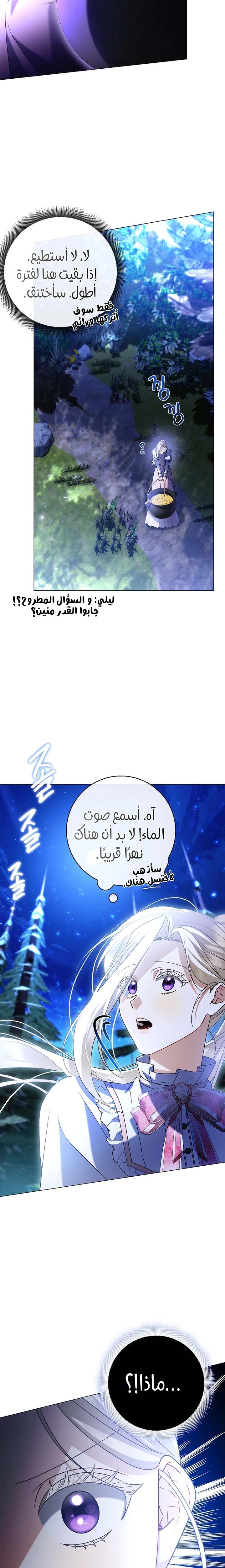الصفحة 27
