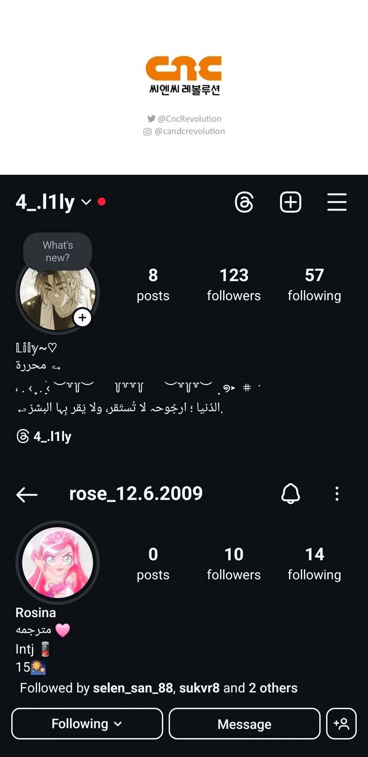 الصفحة 33