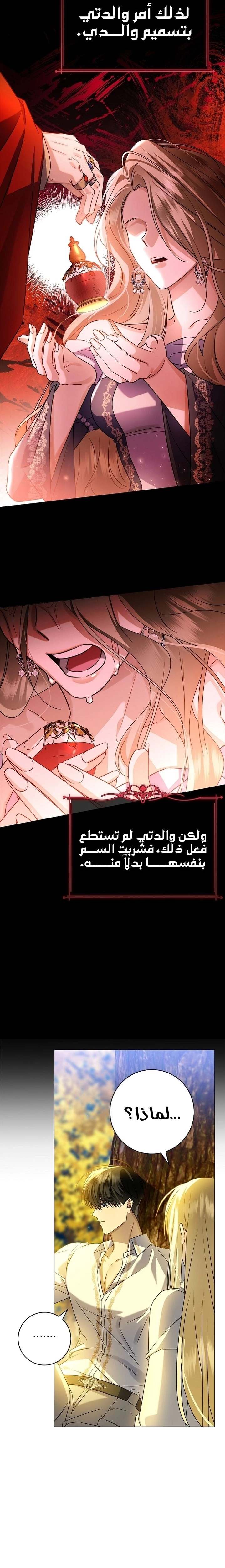 الصفحة 14