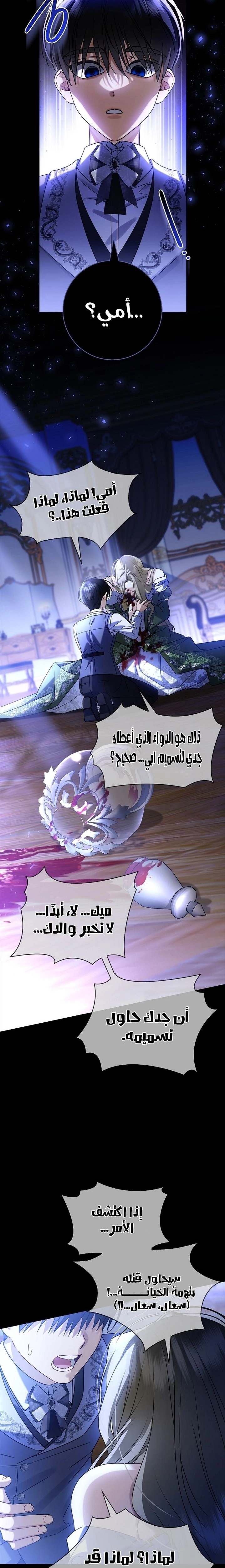 الصفحة 16