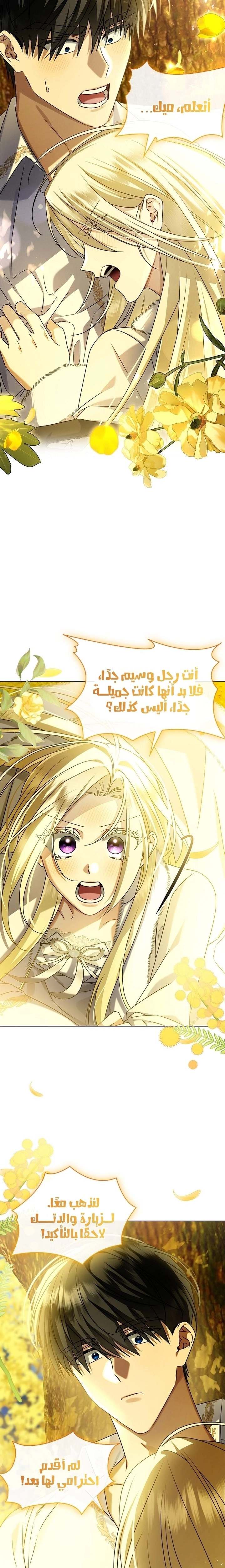الصفحة 22