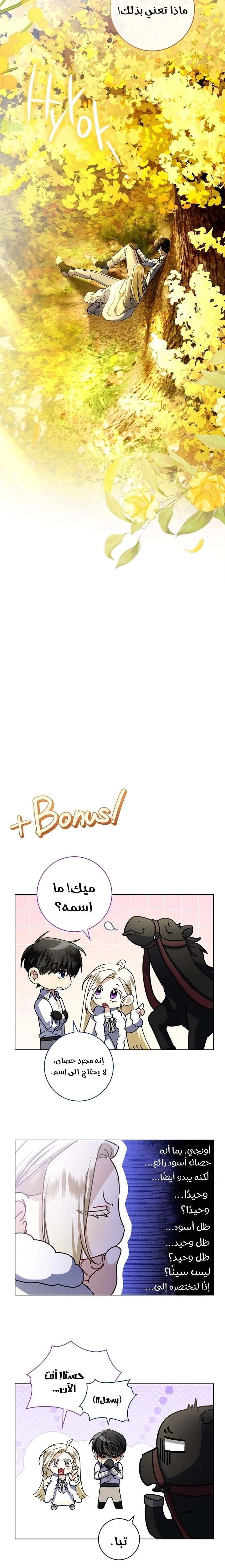 الصفحة 24