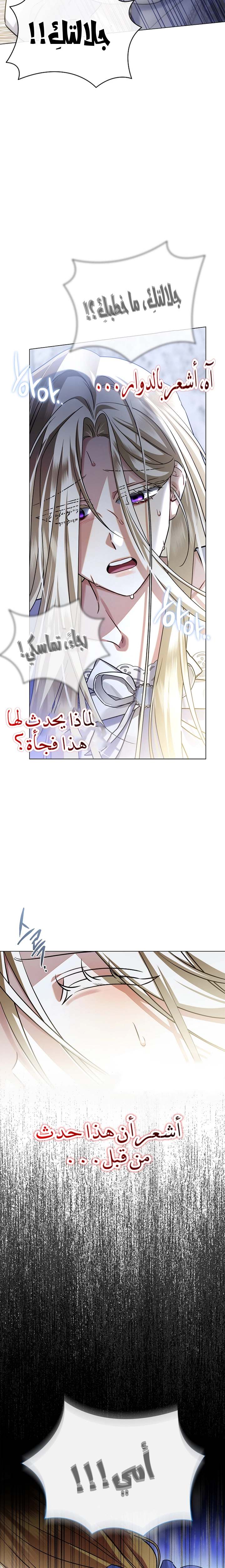 الصفحة 17