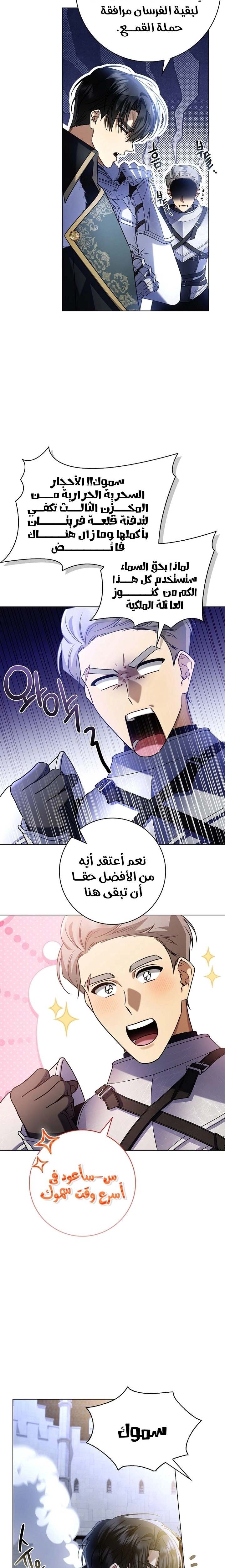 الصفحة 13