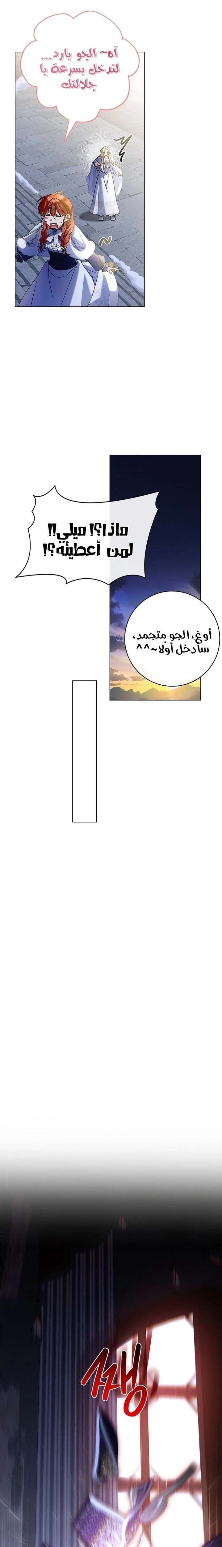 الصفحة 20