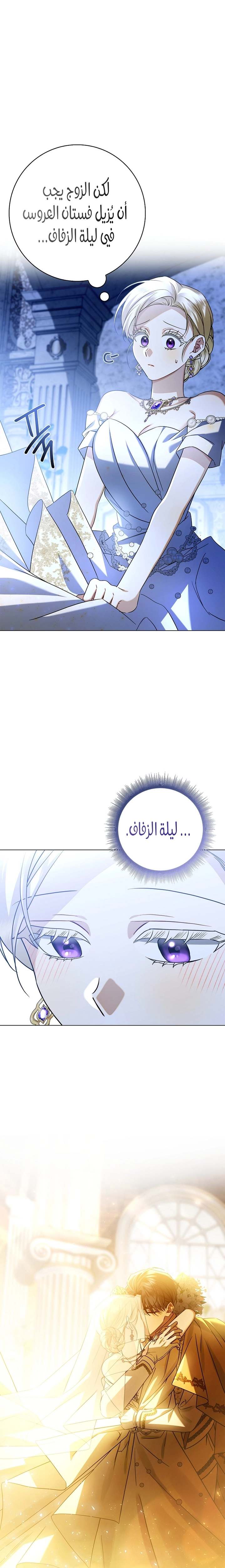 الصفحة 19
