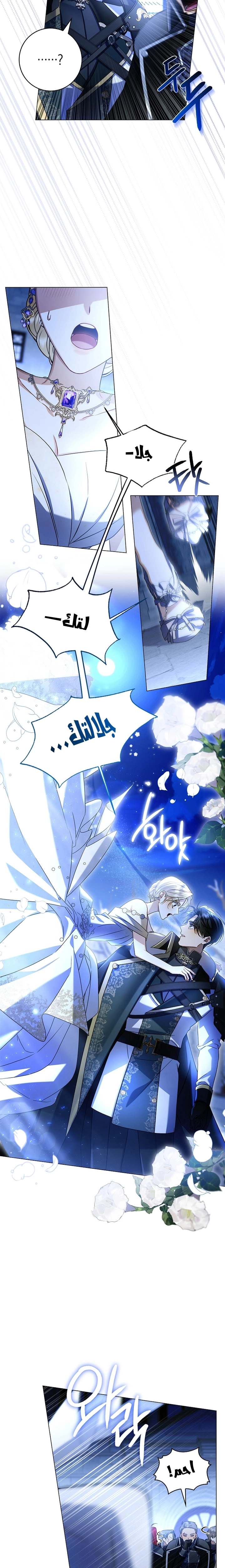 الصفحة 25